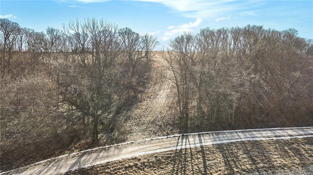 Listing Photo MLS #HMS2572217
