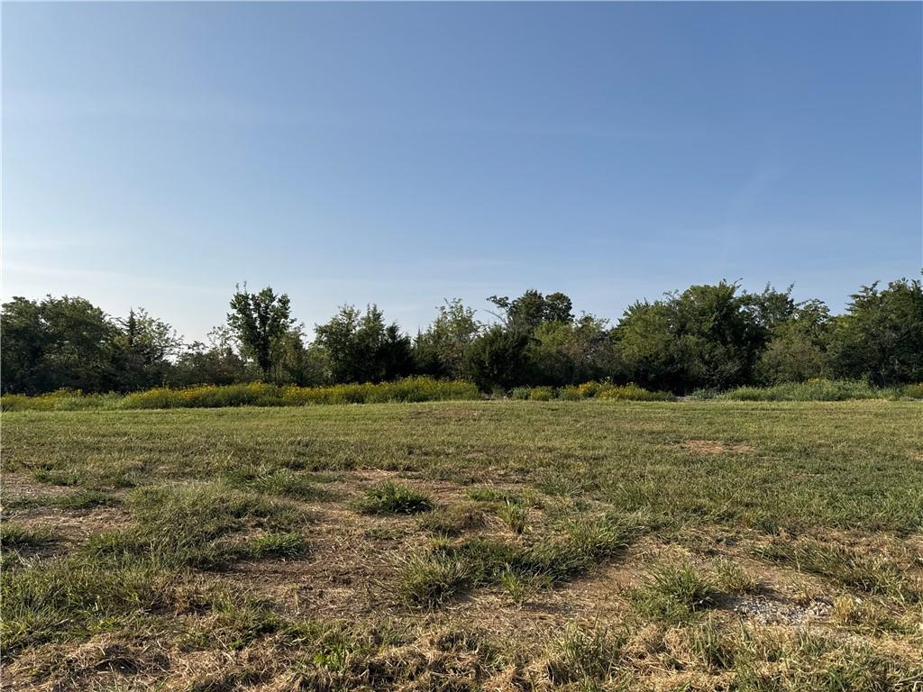 Listing Photo MLS #HMS2572223
