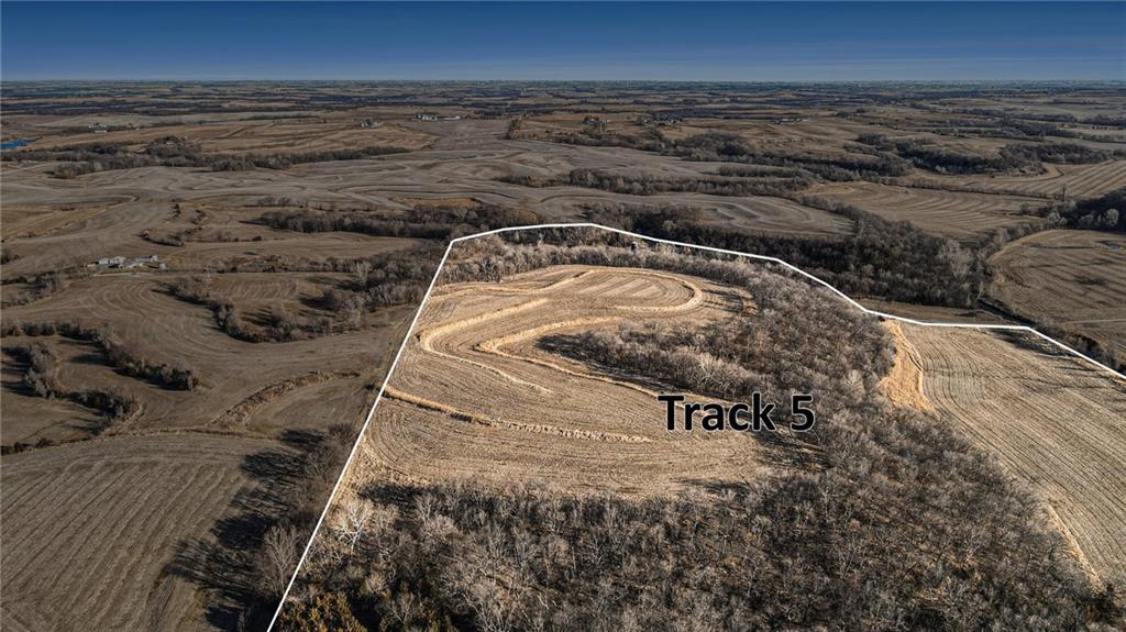 Listing Photo MLS #HMS2572226
