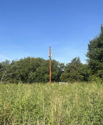 Listing Photo MLS #HMS2572352