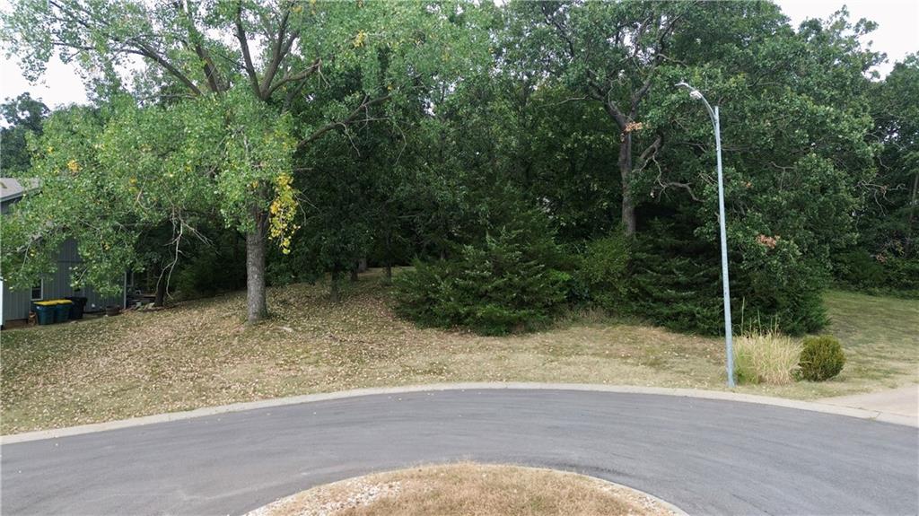 Listing Photo MLS #HMS2572386