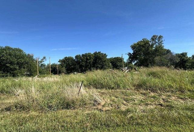 Listing Photo MLS #HMS2572406