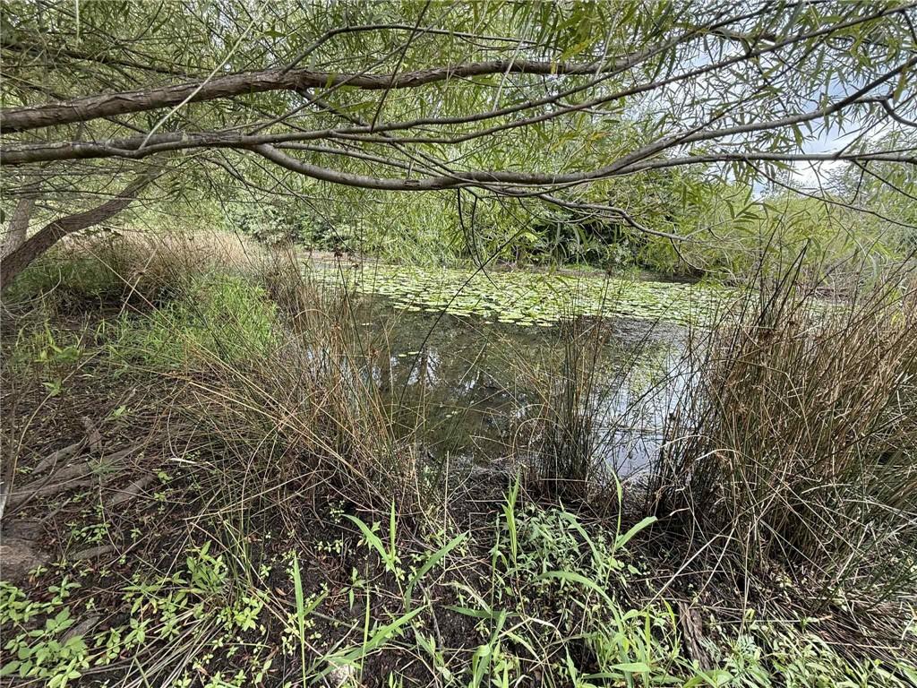 Listing Photo MLS #HMS2572429