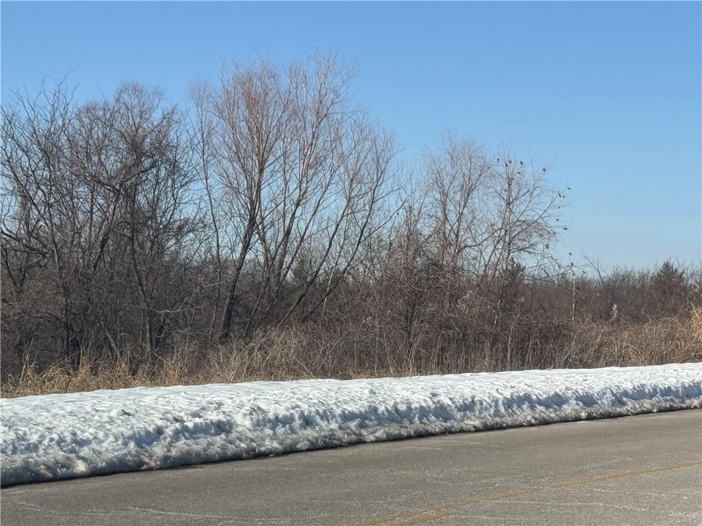 Listing Photo MLS #HMS2572444