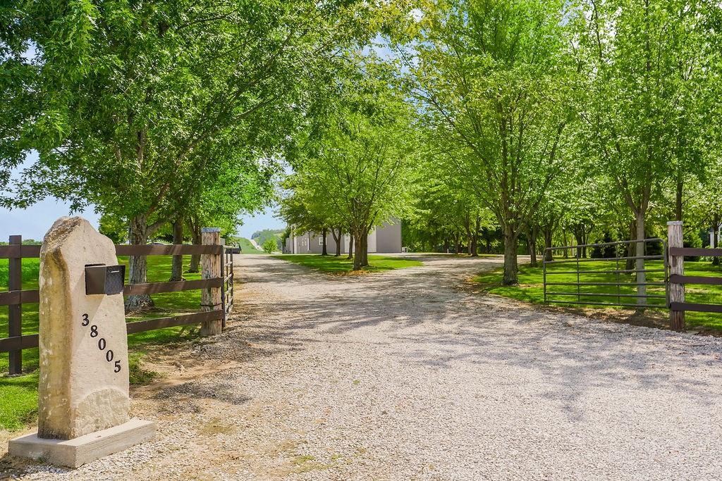 Listing Photo MLS #HMS2572534