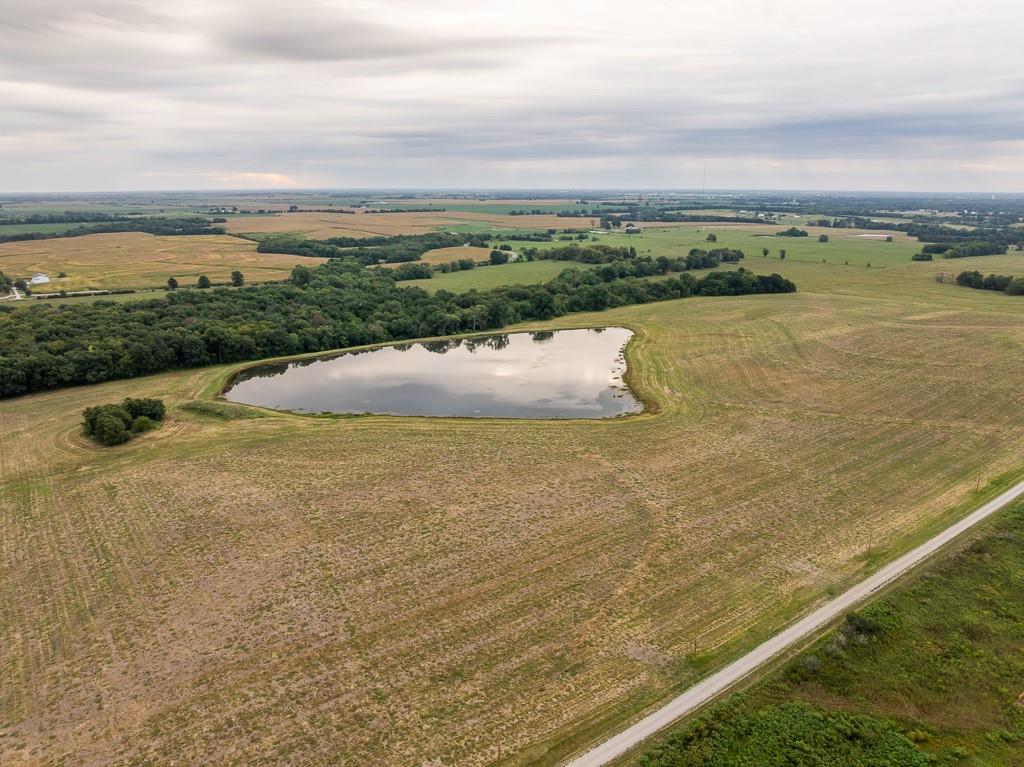 Listing Photo MLS #HMS2572706