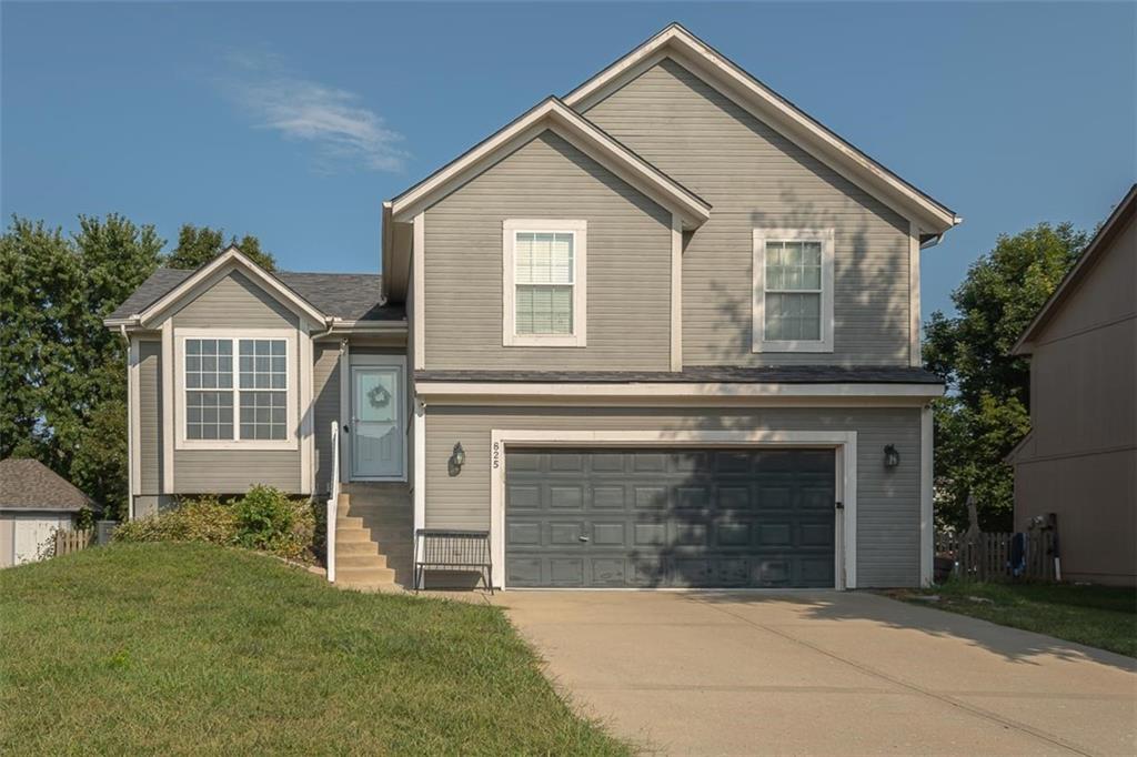 Listing Photo MLS #HMS2572743