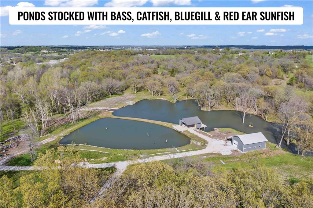 Listing Photo MLS #HMS2572759