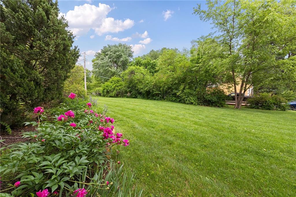 Listing Photo MLS #HMS2573881
