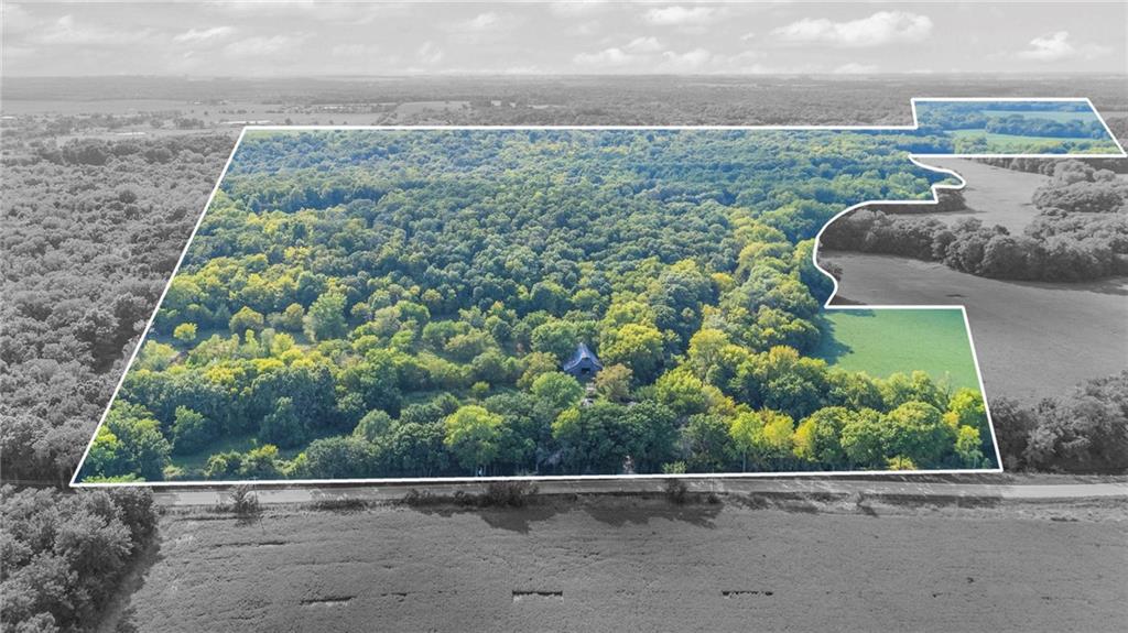 Listing Photo MLS #HMS2573967