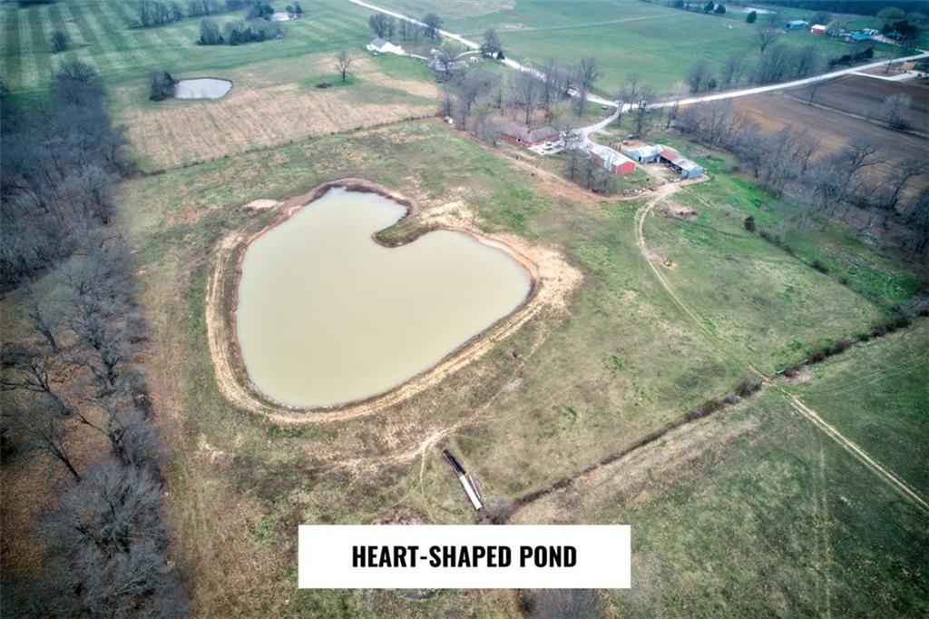 Listing Photo MLS #HMS2574010