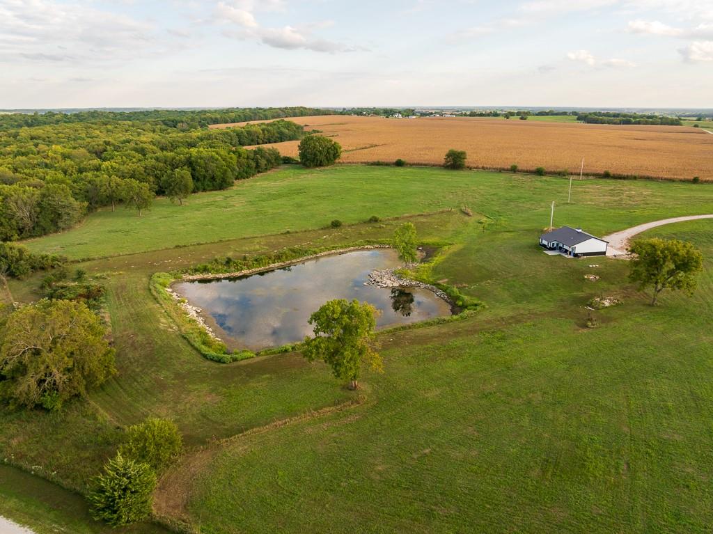 Listing Photo MLS #HMS2574236
