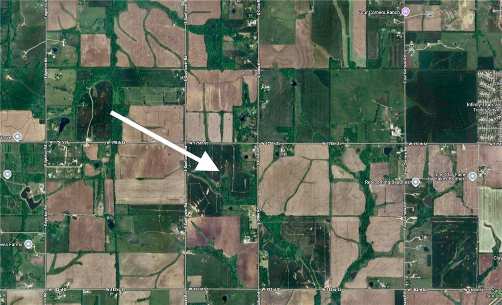 Listing Photo MLS #HMS2574289
