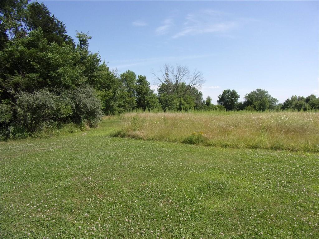Listing Photo MLS #HMS2574529