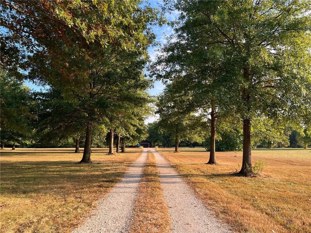 Listing Photo MLS #HMS2575288