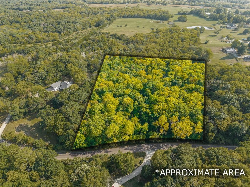 Listing Photo MLS #HMS2575333