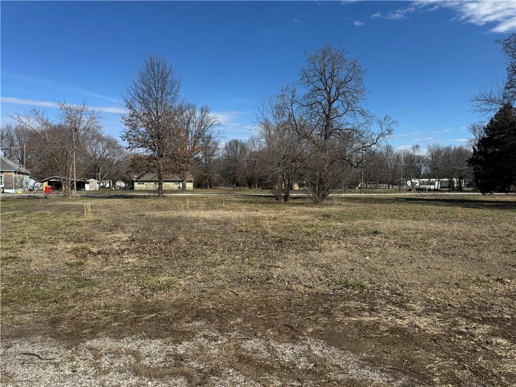 Listing Photo MLS #HMS2575431