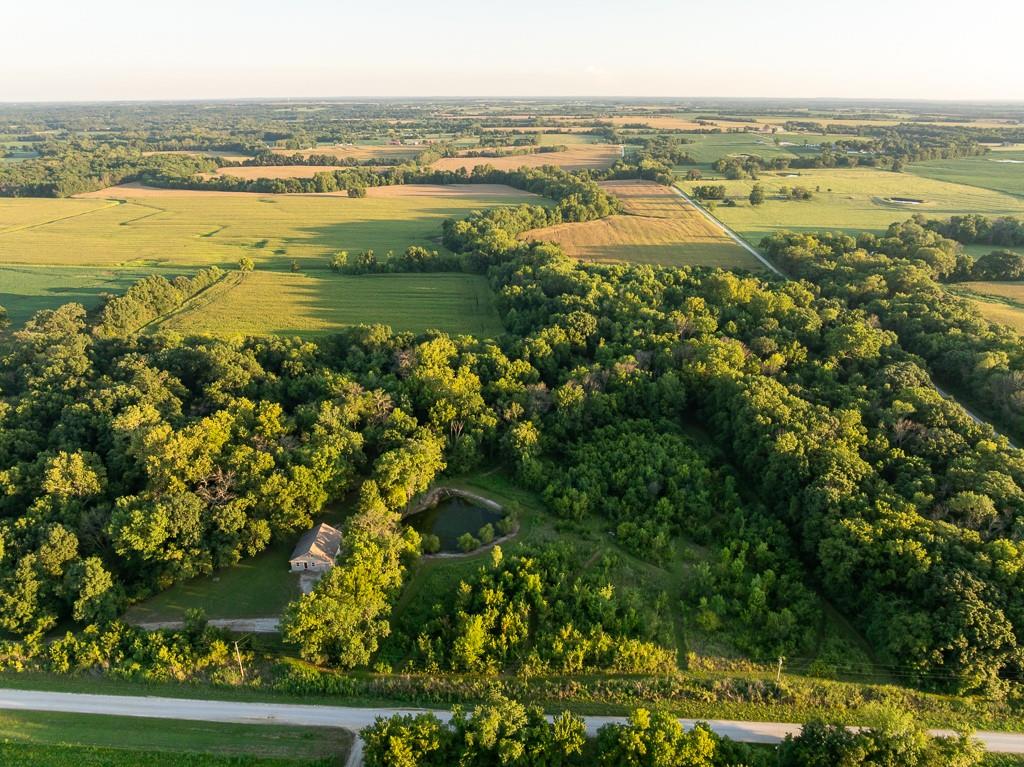 Listing Photo MLS #HMS2575515