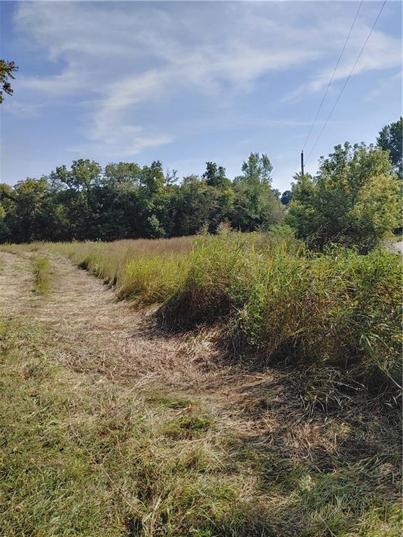 Listing Photo MLS #HMS2575728