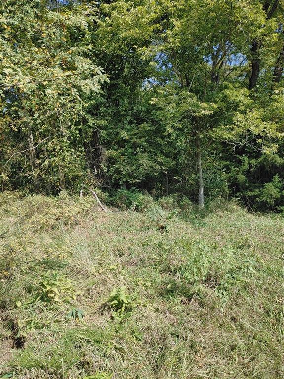Listing Photo MLS #HMS2575787