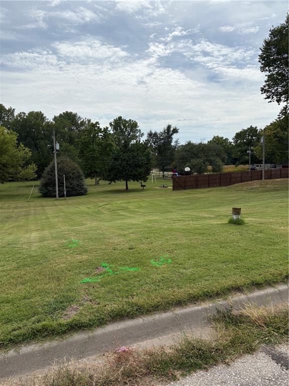 Listing Photo MLS #HMS2576421