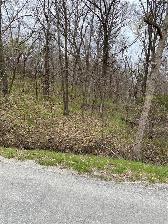 Listing Photo MLS #HMS2576435