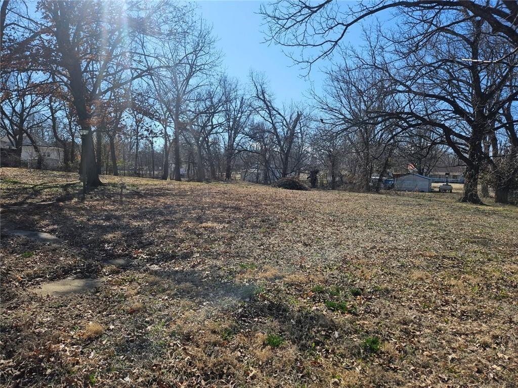Listing Photo MLS #HMS2576566