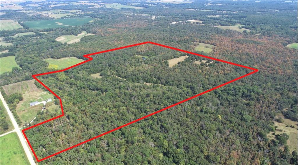 Listing Photo MLS #HMS2576606