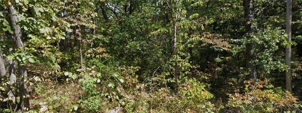 Listing Photo MLS #HMS2576697