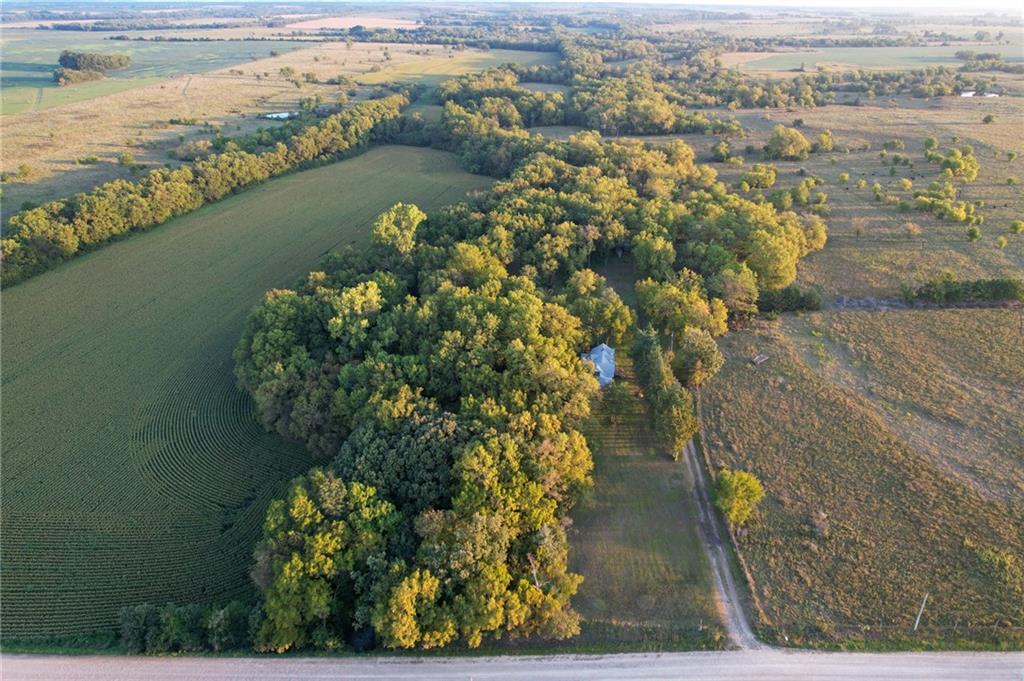 Listing Photo MLS #HMS2576730