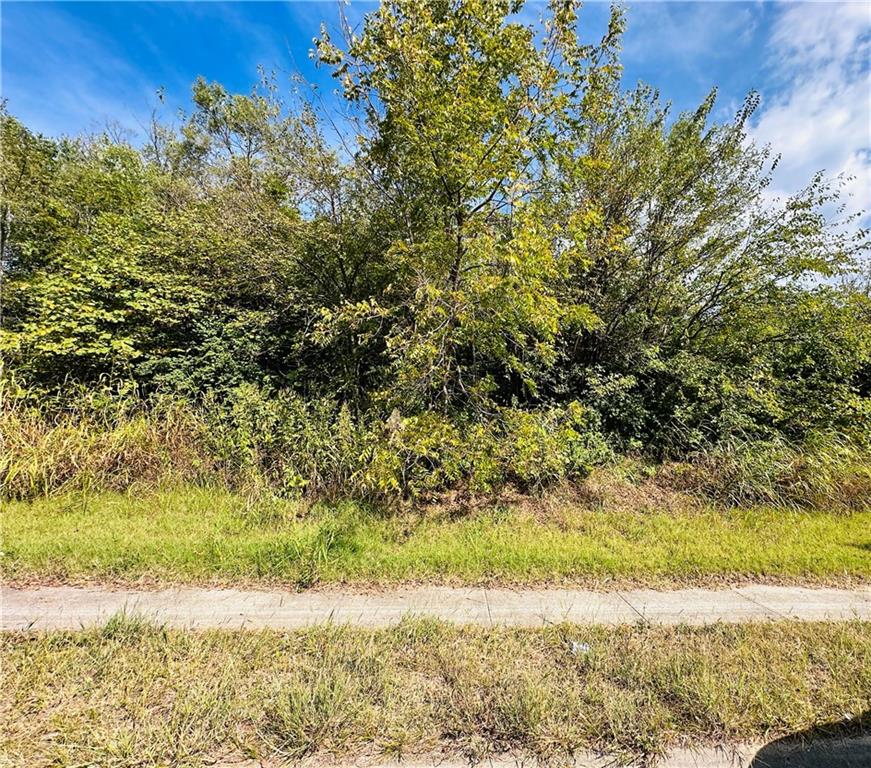 Listing Photo MLS #HMS2576798