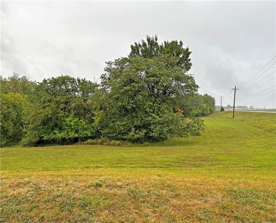 Listing Photo MLS #HMS2577295