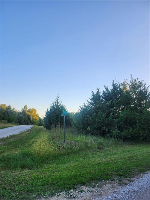 Listing Photo MLS #HMS2577778