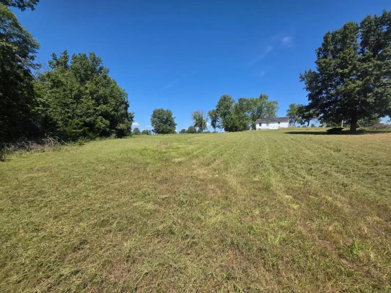 Listing Photo MLS #HMS2581612