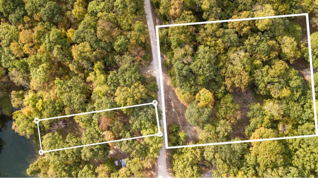 Listing Photo MLS #HMS2581635