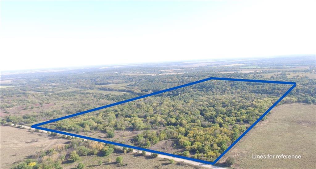 Listing Photo MLS #HMS2581693