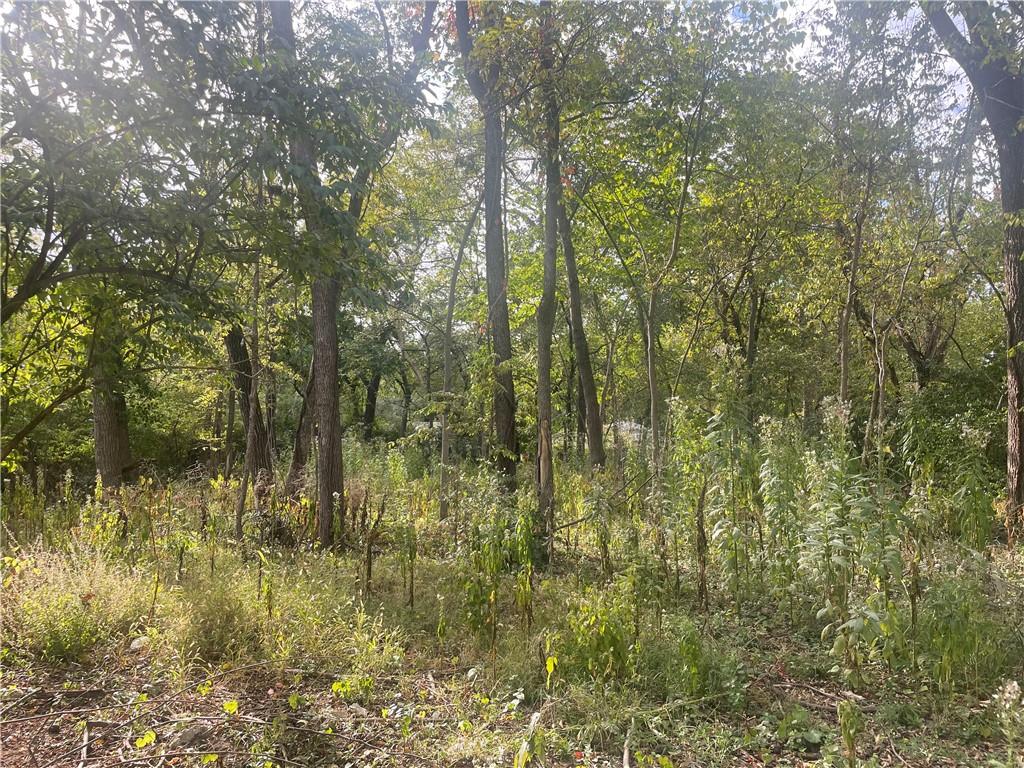 Listing Photo MLS #HMS2581757