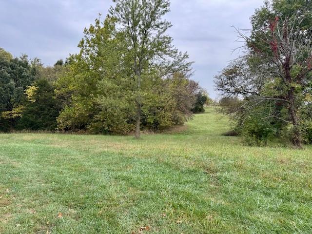 Listing Photo MLS #HMS2581835
