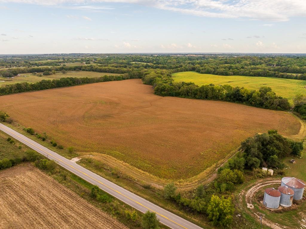 Listing Photo MLS #HMS2582064
