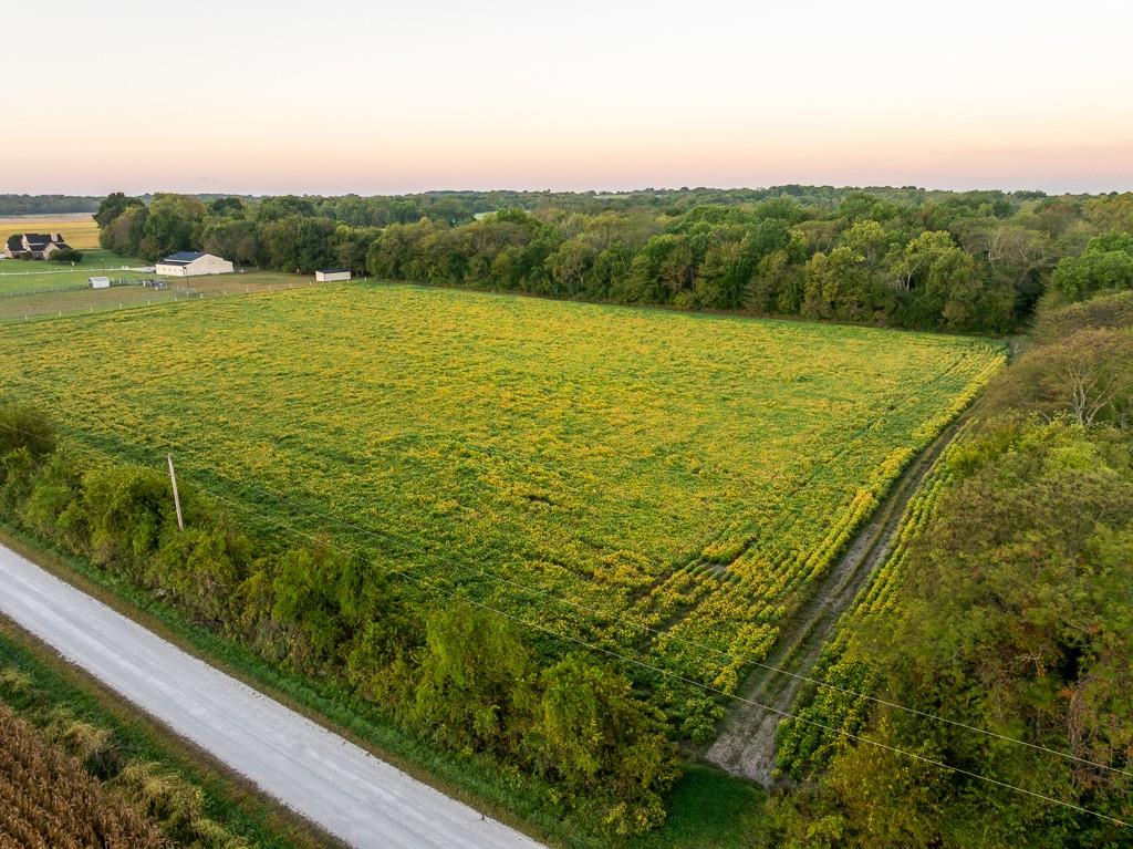 Listing Photo MLS #HMS2582068