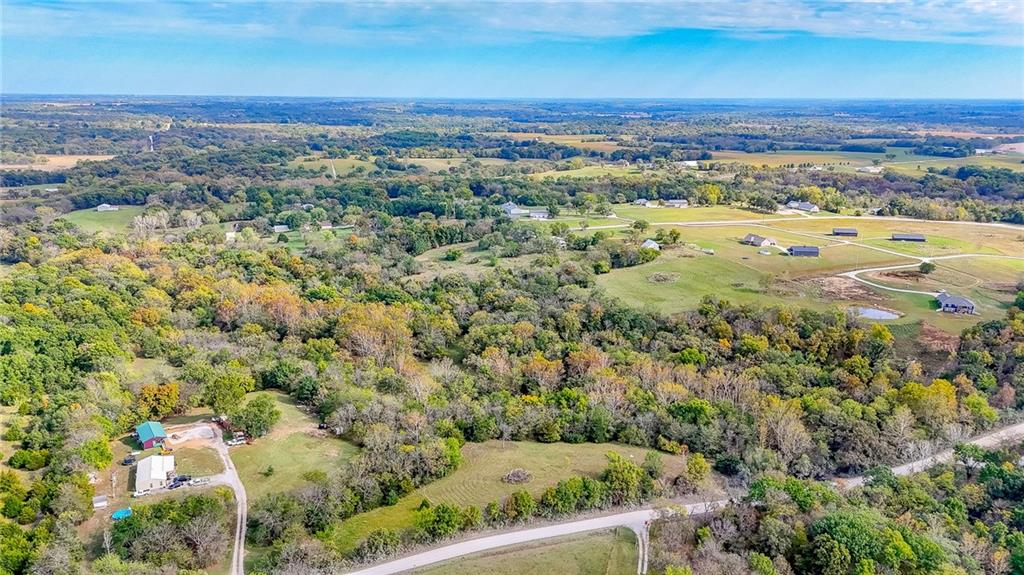 Listing Photo MLS #HMS2582133