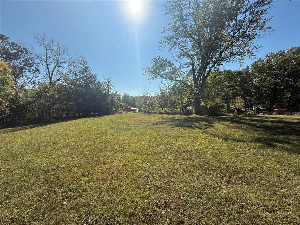 Listing Photo MLS #HMS2582286