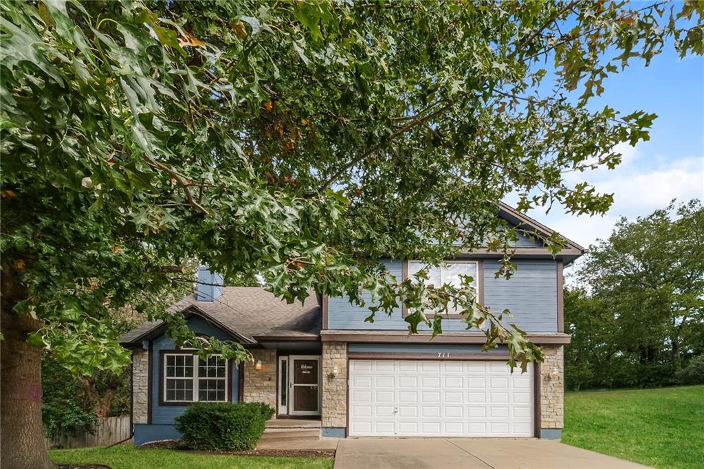 Listing Photo MLS #HMS2582496