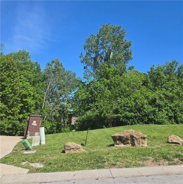 Listing Photo MLS #HMS2582979