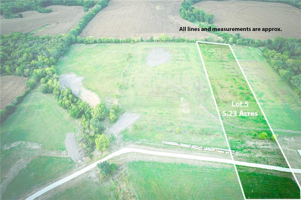 Listing Photo MLS #HMS2583397