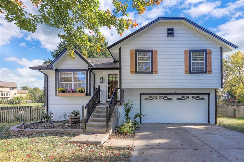 Listing Photo MLS #HMS2583470