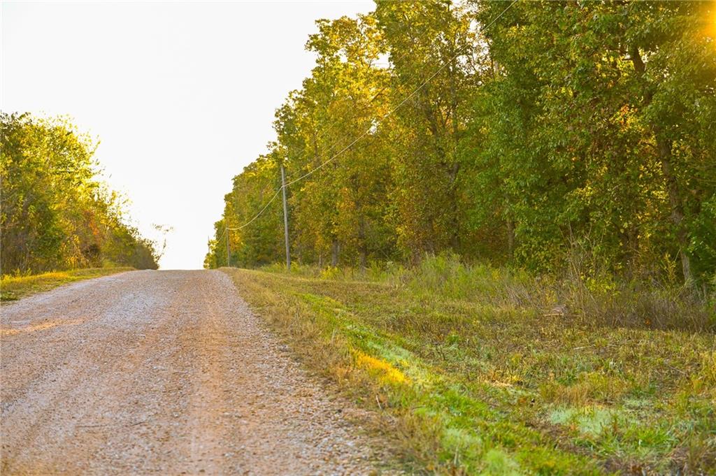 Listing Photo MLS #HMS2583590