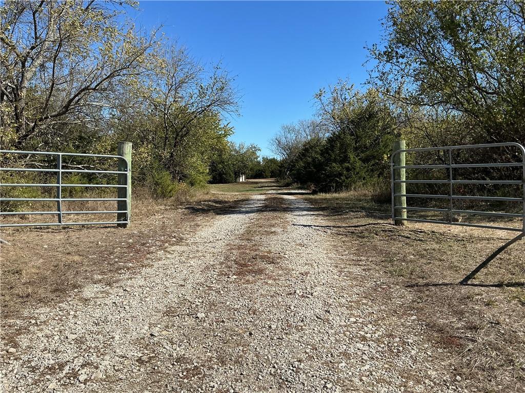 Listing Photo MLS #HMS2583639