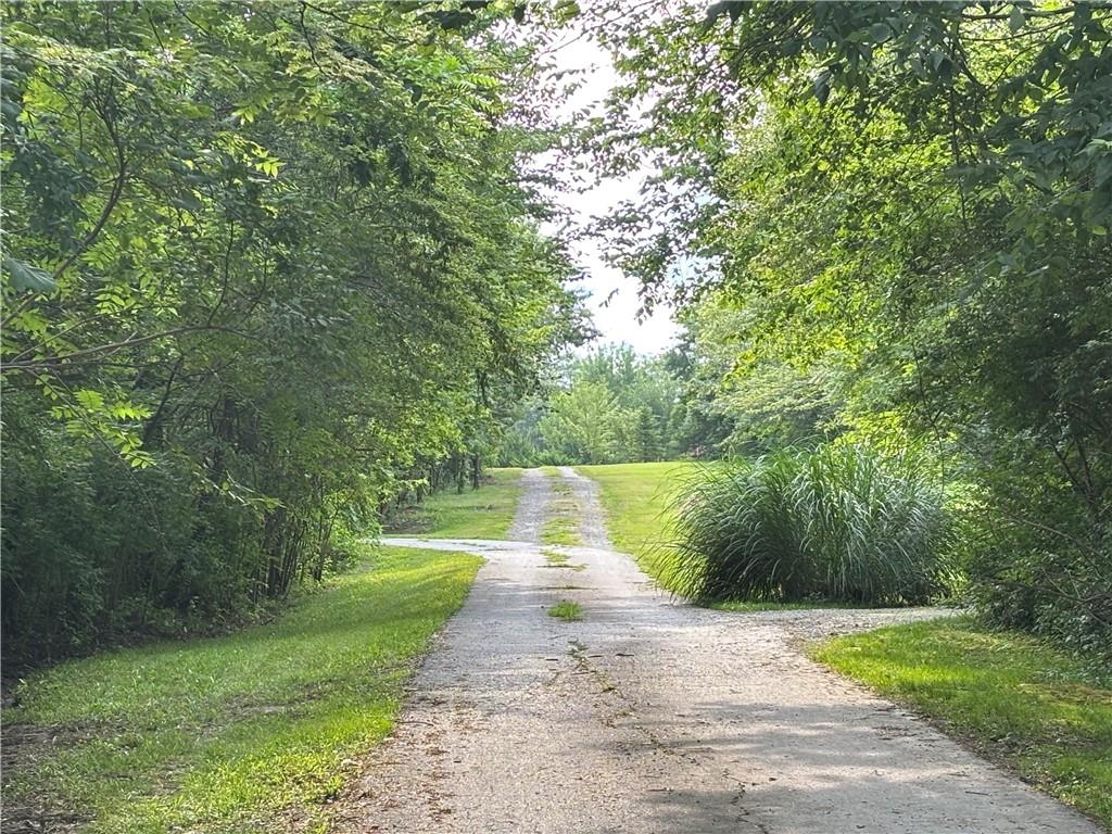 Listing Photo MLS #HMS2583644