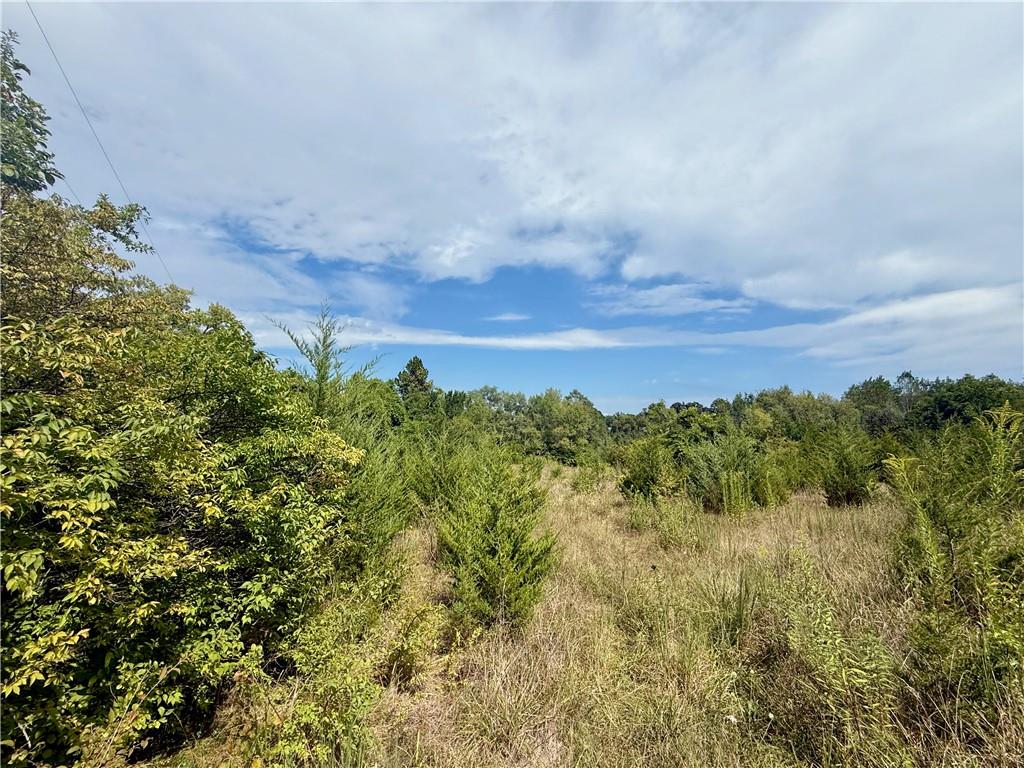 Listing Photo MLS #HMS2583731